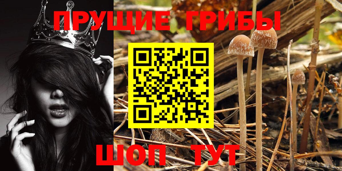 Заволжье  Вход с VPN  ГАШ  COCAIN  Меф кристаллы  Бошки Шишки  Гашиш 