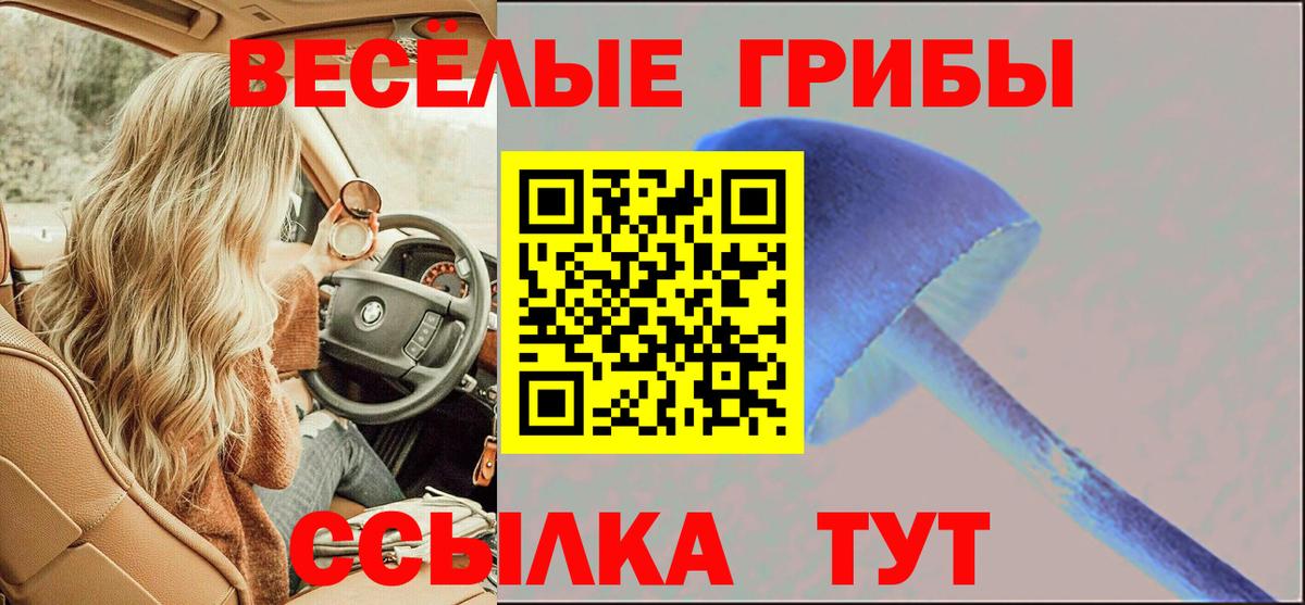 Заволжье  где купить   Вход с VPN  Псилоцибиновые грибы Cubensis 